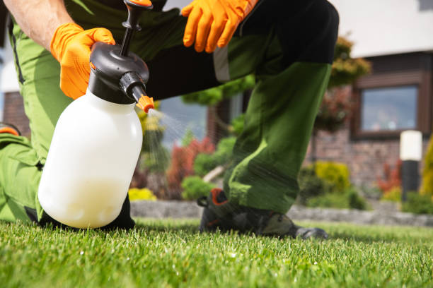 Best Best Pest Control Companies  in Inez, TX