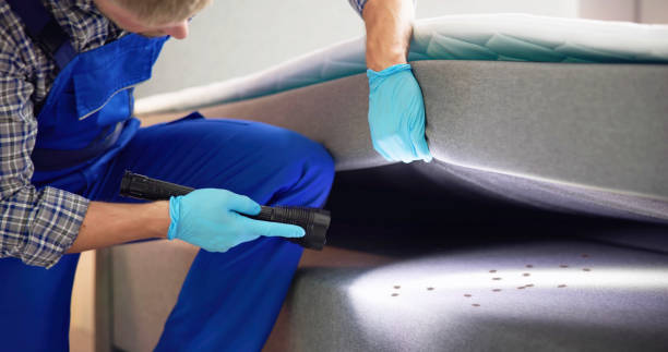 Best Affordable Pest Control Services  in Inez, TX