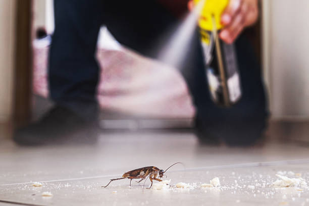 Professional Pest Control in Inez, TX